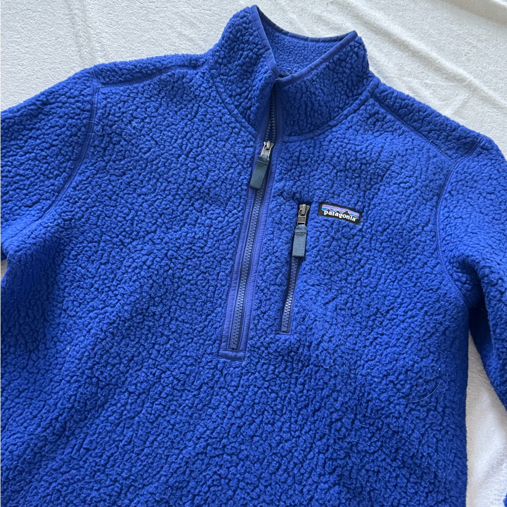 Patagonia Men's Blue Fleece Pullover